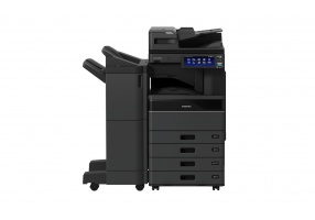 eS6525AC DSDF 4cst 1113 F